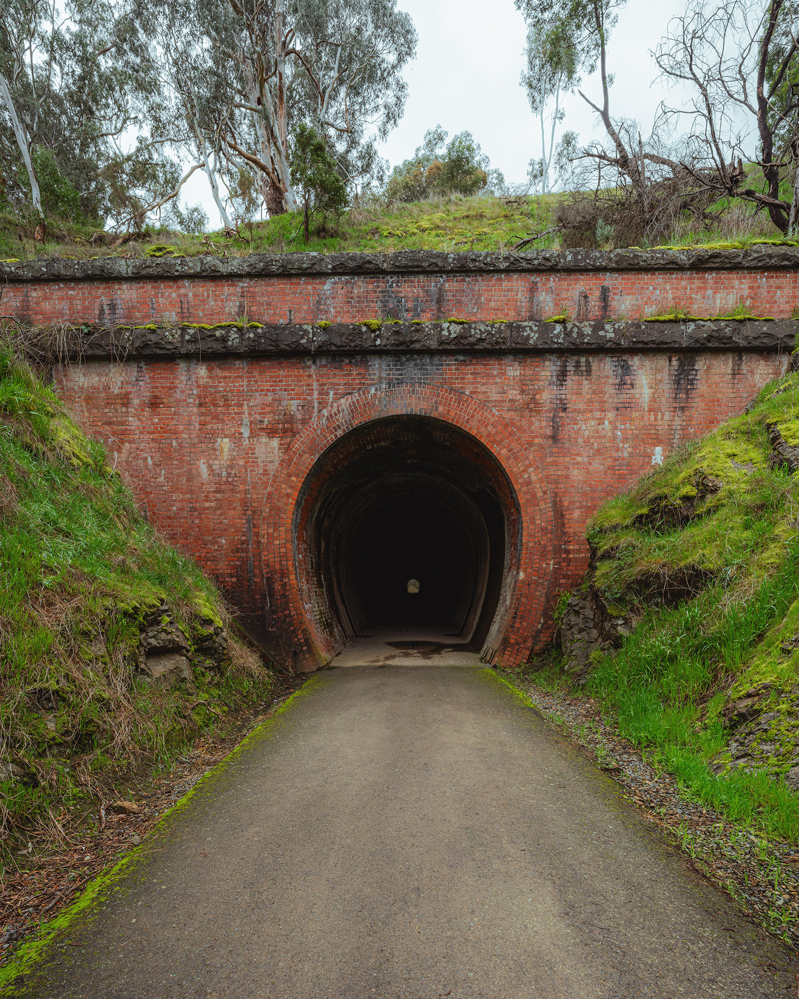 Cheviot Tunnel